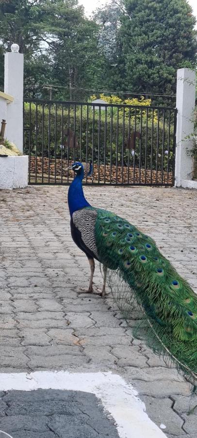 Recanto Ursa Maior Monte Verde (Minas Gerais)