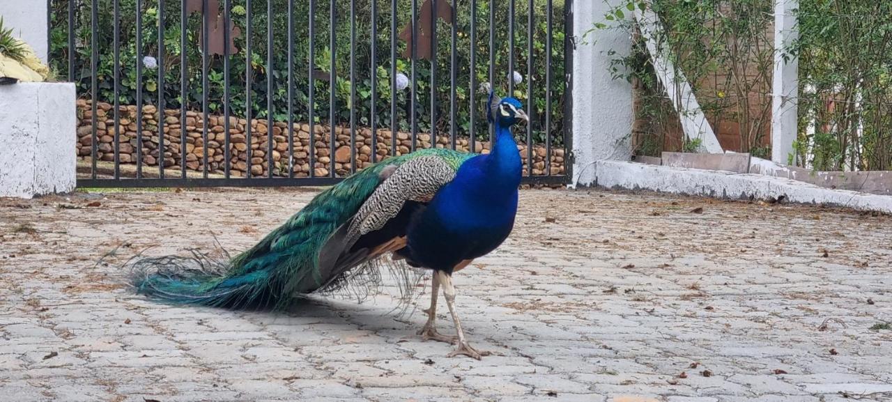Recanto Ursa Maior Monte Verde (Minas Gerais)