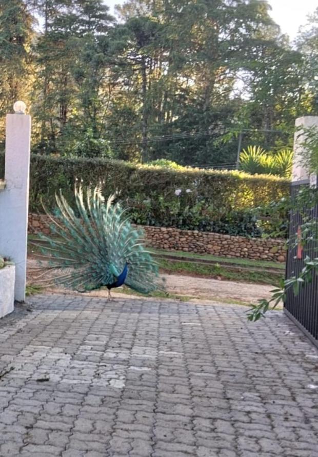 Guest house Recanto Ursa Maior *